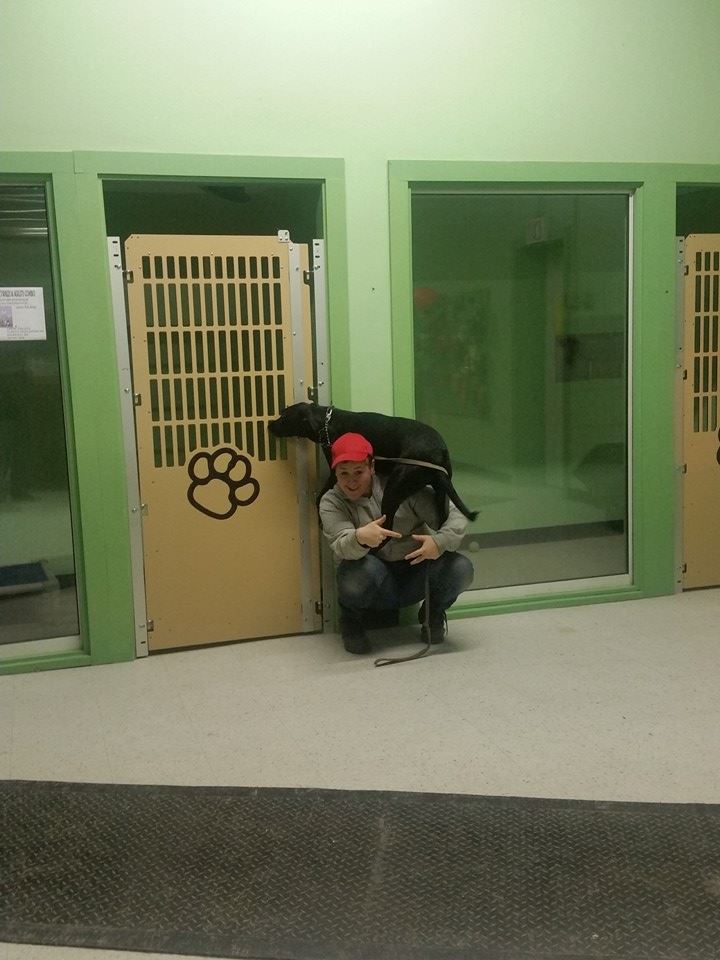 Dog Boarding & Dog Kennels for Low Prices in Holbrook MA Canine