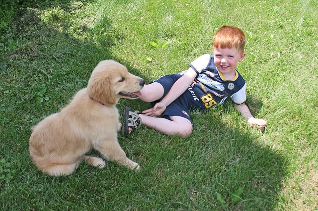 kid playing with puppy