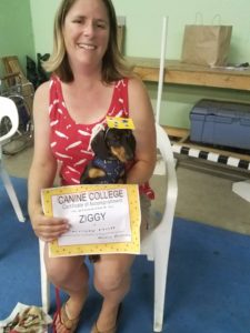 https://caninecollege.net/wp-content/uploads/2018/04/dogtraining2-225x300.jpg