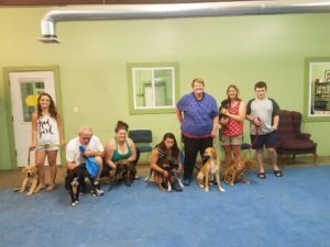 Dogs and their owners at Elementary Dog Training