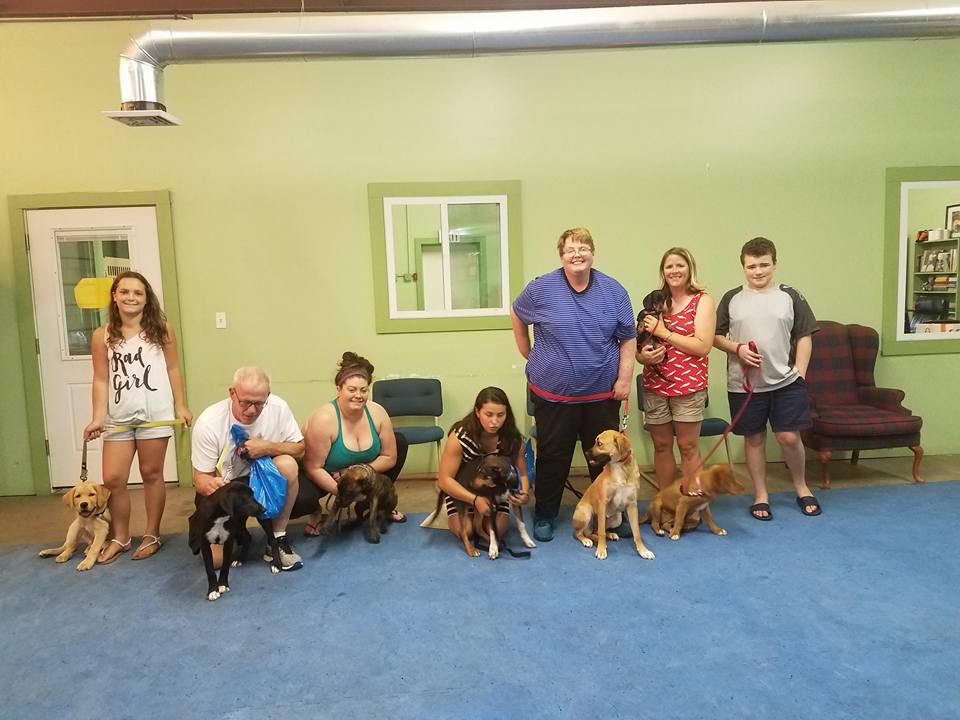 Elementary Dog Training in Holbrook MA Canine College, Bow Wow Resort