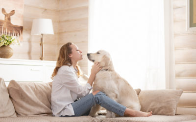 Fun Ways to Bond With Your Dog During Quarantine