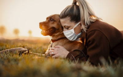 Raising & Training a New Puppy During Quarantine