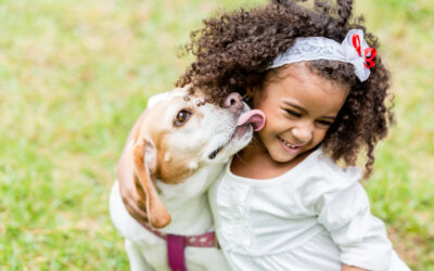 Training Your Dog to Play Nice with Children